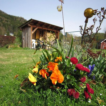Appartement Scheibling Sankt Wolfgang im Salzkammergut Exterior foto