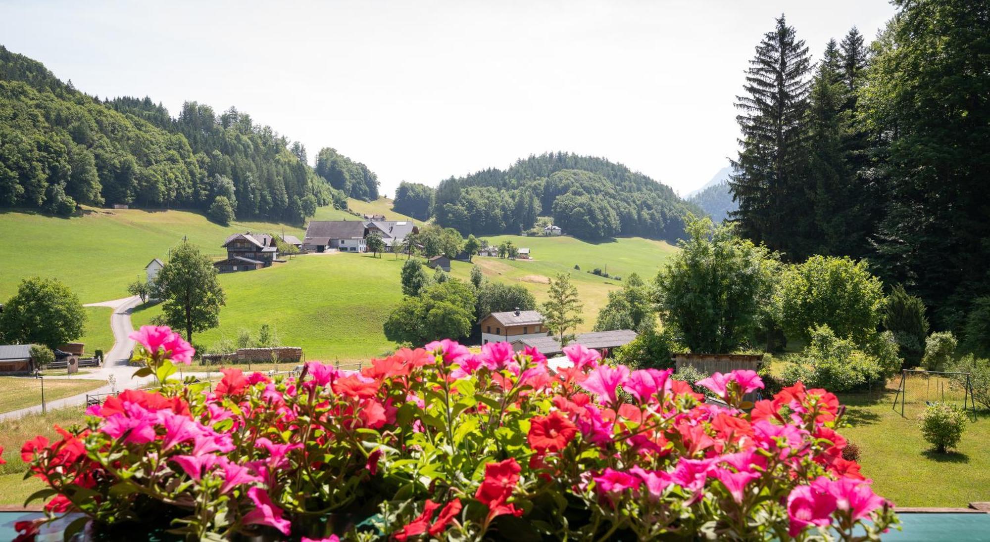 Appartement Scheibling Sankt Wolfgang im Salzkammergut Exterior foto